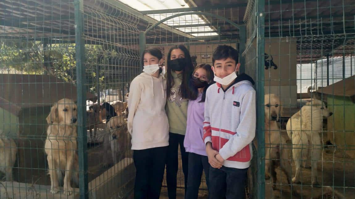 Animal Welfare Everyone's Responsibility etwinning projesi kapsamında öğrencilerimizle hayvan barınağı ziyareti gerçekleştirildi.